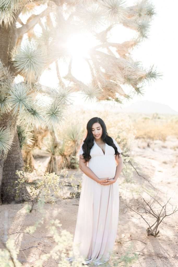 Joshua Tree maternity photographer specializes in capturing the beauty and joy of expectant mothers.