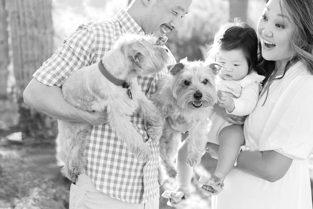 A man holds two small dogs while a woman holds a baby. Both adults are smiling and looking at the dogs. The photo is in black and white.