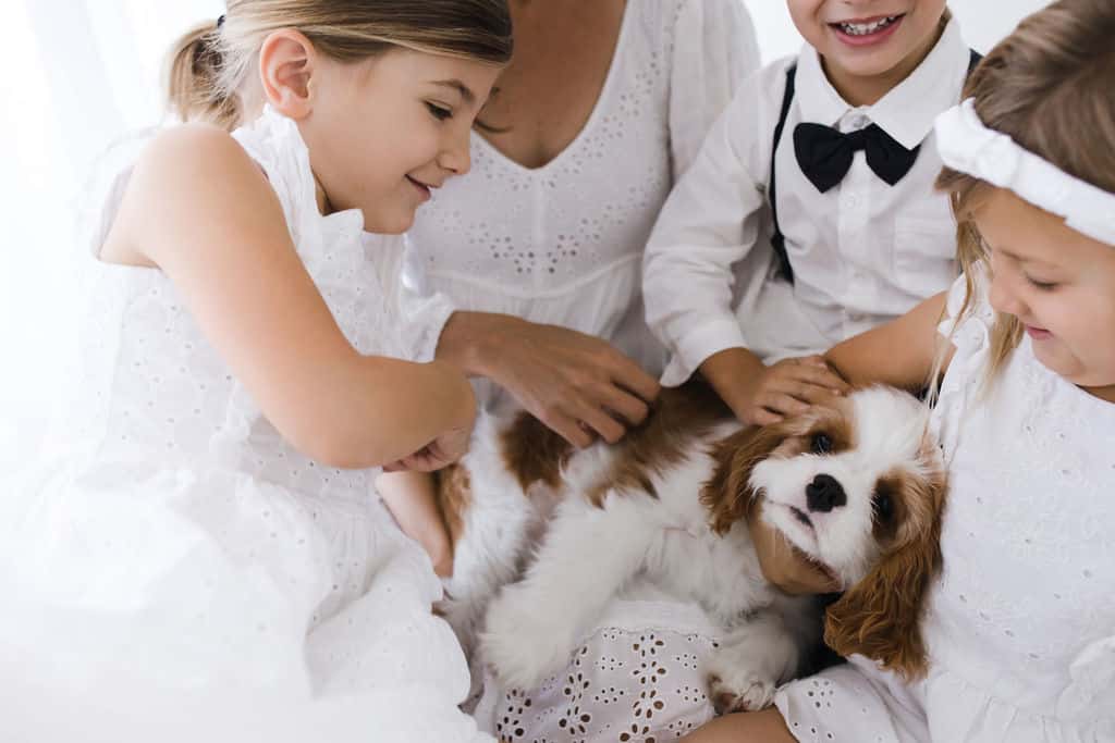 Three children in white outfits pet a brown and white dog while an adult sits nearby, partially visible. All are gathered closely together, smiling and interacting with the dog.
