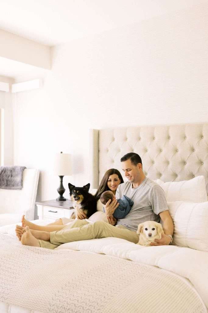 A man and woman sit on a bed with a baby and two dogs in a bright, softly lit bedroom.